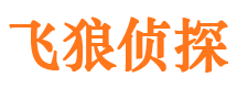 平阳市婚姻调查